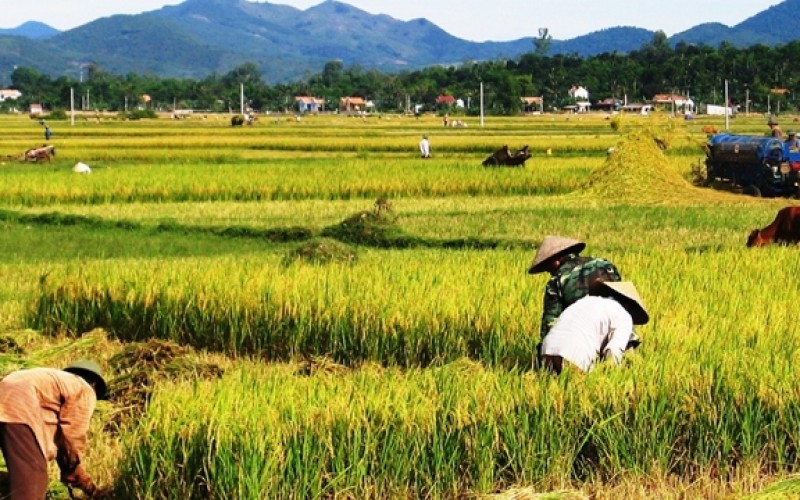 Chuyện Chia Đất Canh Tác